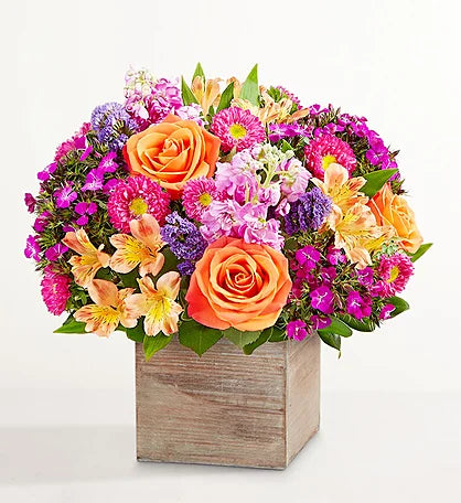 Citrus Bloom Box