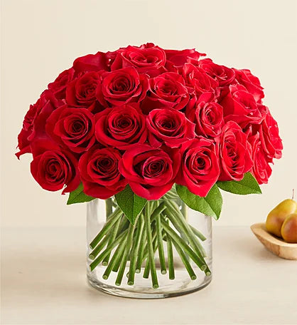 25 Red Rose